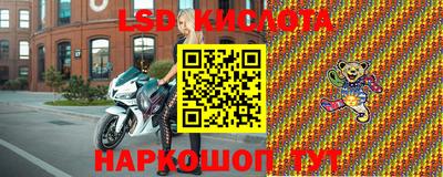 герыч Кингисепп