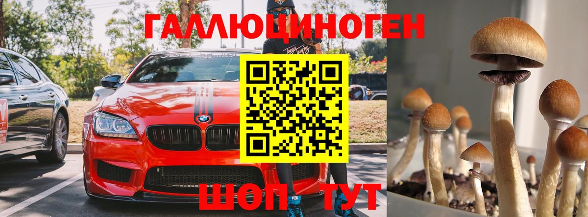 Галлюциногенные грибы мицелий Черняховск